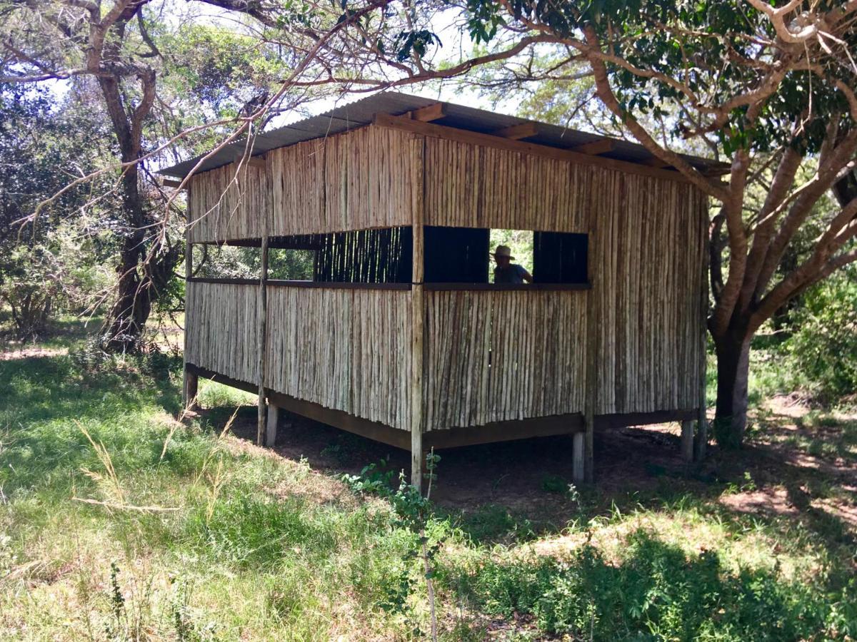 Imani Bush House & Silver Sky Chalet Hluhluwe Dış mekan fotoğraf